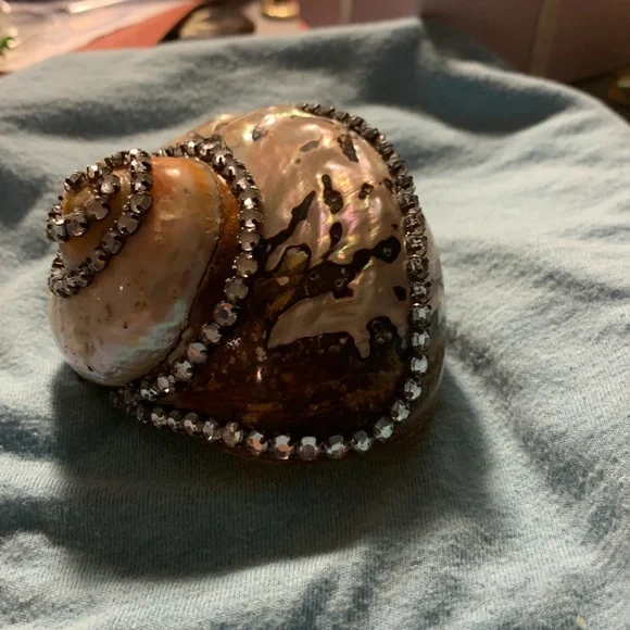 Decorated Sea shell with a wonderful combination of mother of pearl colors. - Picture 6 of 6